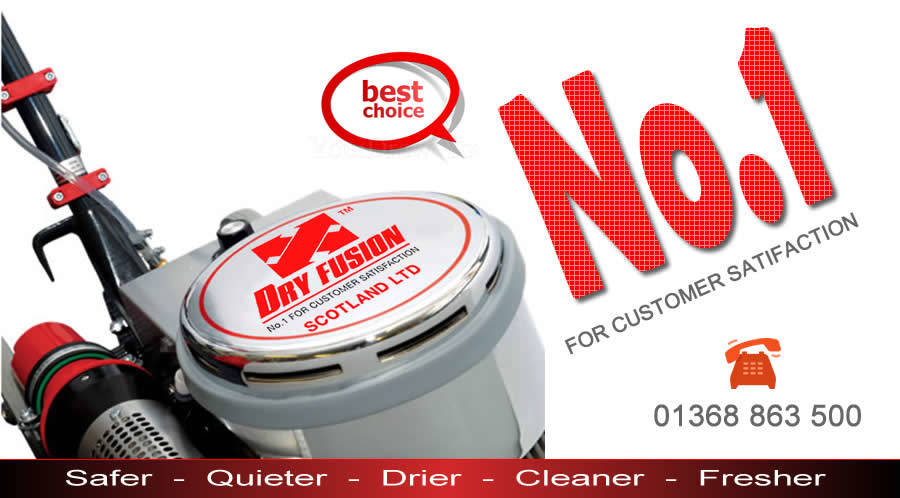 Best Choice for Carpet Cleaning in East Lothian